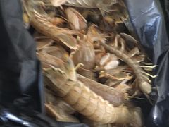-毕家疃综合市场