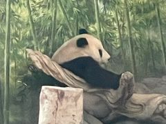 -武汉动物园