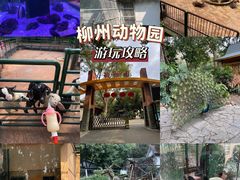 -柳州市动物园