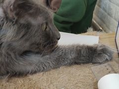 -平行世界·猫咖(首经贸店)