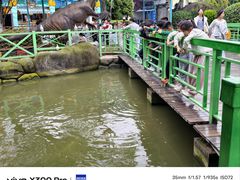 -海合安武汉极地海洋公园