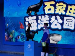 -石家庄海洋公园
