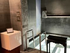 -丽思卡尔顿酒店泳池(金融街店)