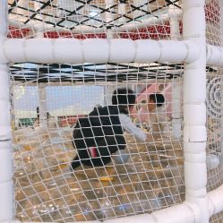 -多多淘儿童体验中心(重庆来福士店)