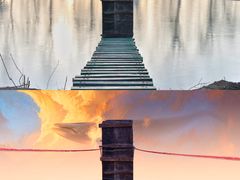 -东方巨龟苑景区