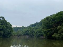 -青城山