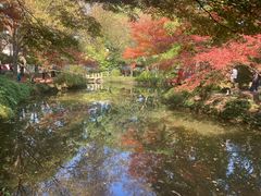 -秋霞圃