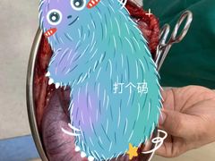 -喜多萌中农锦绣动物医院24H·猫科·牙科MRI·CT