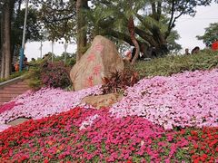 -白云山索道-售票处