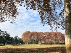 -河南省黄河迎宾馆