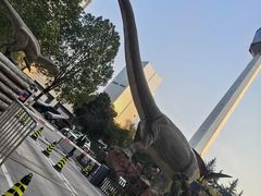 -陕西自然博物馆