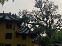 -南华禅寺