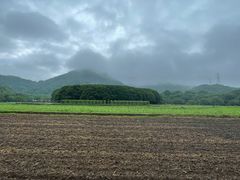 -八卦田遗址公园