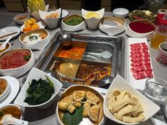 -海底捞火锅(赛格国际购物中心店)