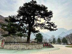 -秦岭终南山世界地质公园翠华山景区