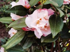 -香满堂川湘菜烤鱼(龙茗路店)