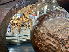 -国家自然博物馆