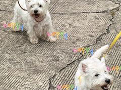 -百万叔(临湖店)