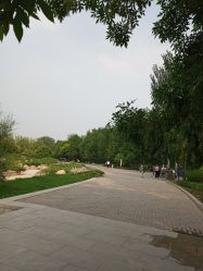 -大望京儿童游乐场