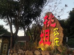 -桃姐农庄老字号(从化温泉店)