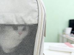 -东方动物医院·宠保定点·骨科·转诊中心(春城路·昆明站分院)