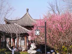 -大蜀山国家森林公园