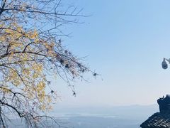-灵顺寺