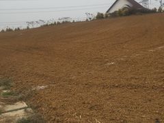 -紫颐香薰山谷景区