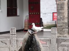 -西安大兴善寺