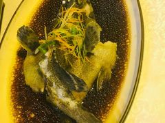 清蒸石斑鱼-琼大师东方烤乳猪(亚特兰蒂斯店)