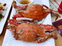 -渔家小院观海海肠捞饭地方菜(环海中路店)