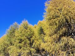 -硗碛藏寨·神木垒景区