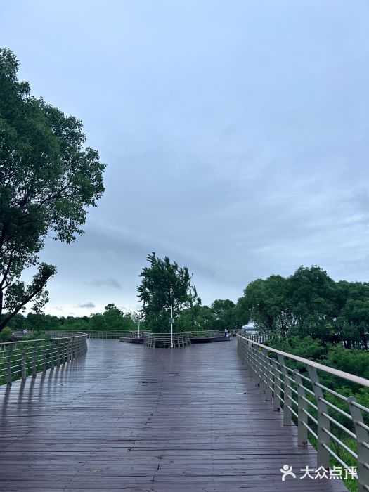 江滩湿地公园图片