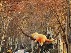 -西安电影制片厂