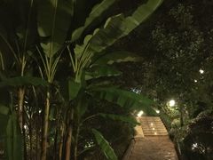 -天目湖涵田半山温泉