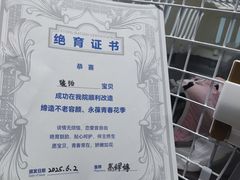 -纳吉亚猫专科动物医院·北北分院