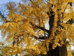 -清华大学玉泉医院