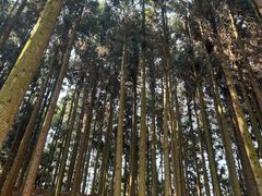 -山王坪喀斯特国家生态公园