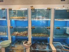 -赶海部落海鲜城(海阳路店)