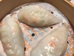 -南枝记