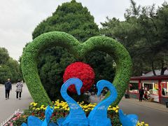 -北陵公园