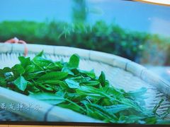 -呷哺呷哺(衡水怡然城店)