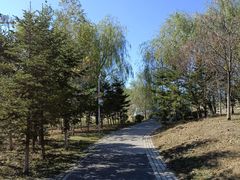 -莫子山公园