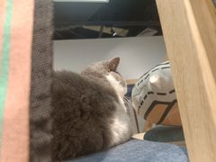 -解忧集市(北京路天河城店)