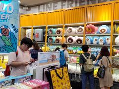 -line friends(明洞旗舰店)