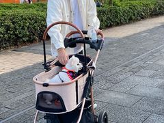 -横滨红砖仓库1号馆