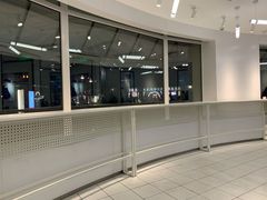 -喜茶(迪士尼小镇DP店)