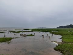 -鄱阳湖国家湿地公园