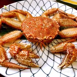 蟹本家(札幌駅前本店)的毛蟹(无冰冻)好不好吃?用户评价口味怎么样?