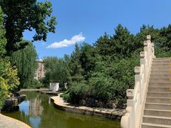 -团结湖公园
